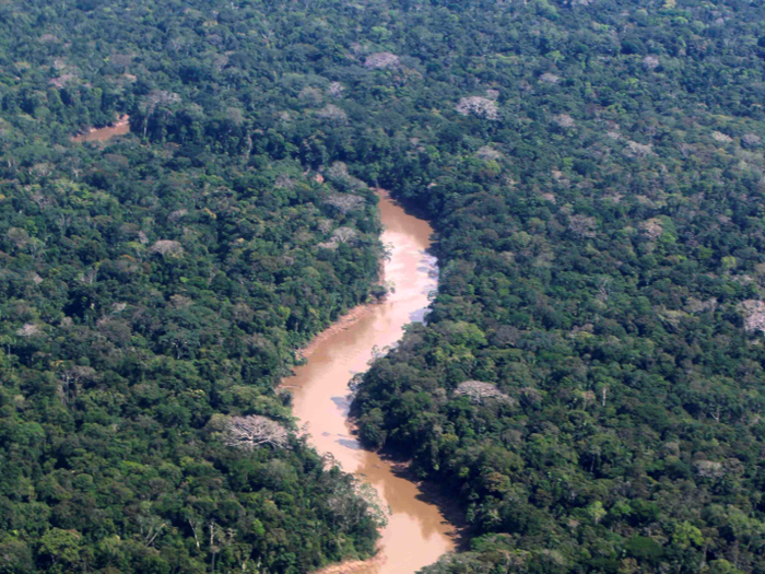 The fire-tailed titi monkey and a honeycomb-patterned stingray were among a same batch of 381 new species discovered in the Amazon rainforest.