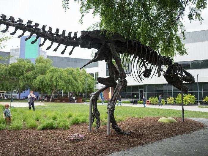 Google had already transformed its Mountain View campus into the Googleplex, filled with whimsical additions like the dinosaur statue. Google employee rumor holds that the famous dinosaur skeleton is a reminder to its employees to not go extinct.