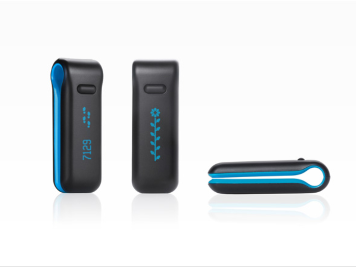 Clip-on fitness trackers, like the Fitbit One (2012)