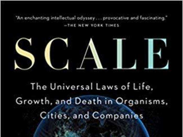 "Scale: The Universal Laws of Life, Growth, and Death in Organisms, Cities, and Companies" by Geoffrey West