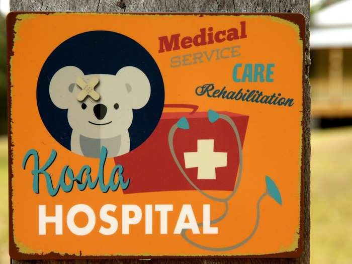 In the meantime, the Koala Hospital continues to care for its patients, ensuring the preservation of Australia