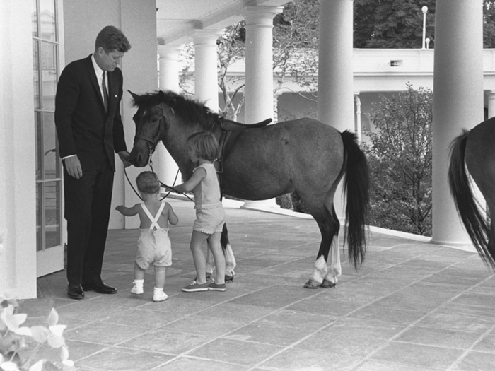 Macaroni, the White House pony