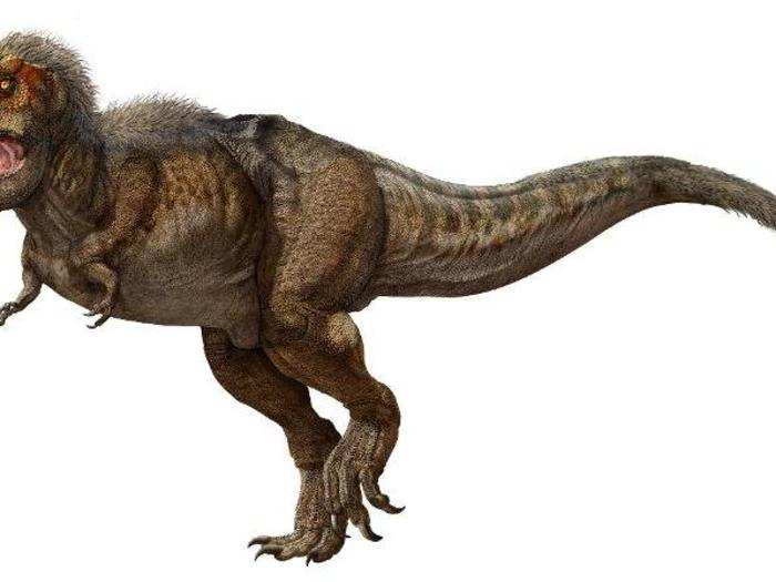 Plus, adult T. rexes couldn