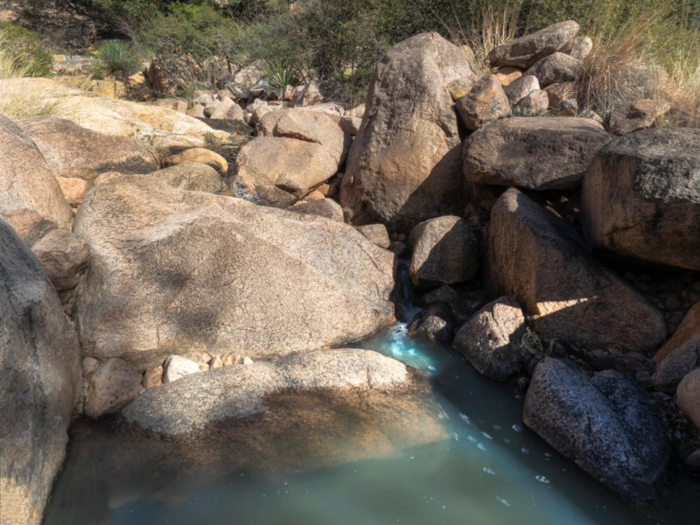 The property is filled with plants, trees, animal life, and natural pools that create waterfalls.