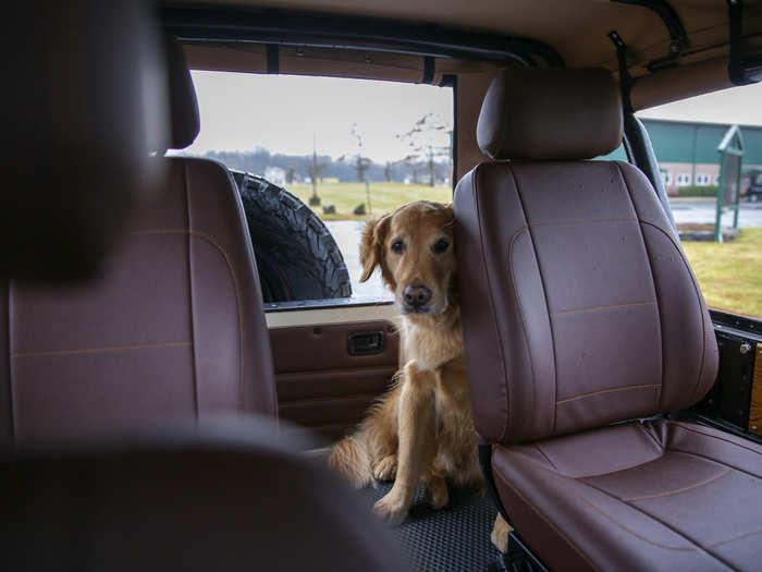 Levin took his pet dog and me for a test drive in the Wolf, and I was pleasantly surprised by the vehicle.