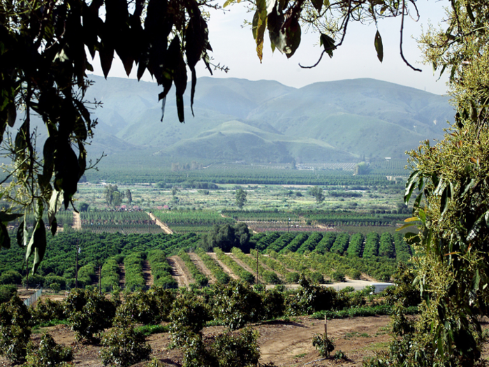 The "Valley" bit is said to be derived from the Santa Clara Valley, which is shouldered by the Santa Cruz Mountains to the west and the hilly Diablo Mountain Range to the east.