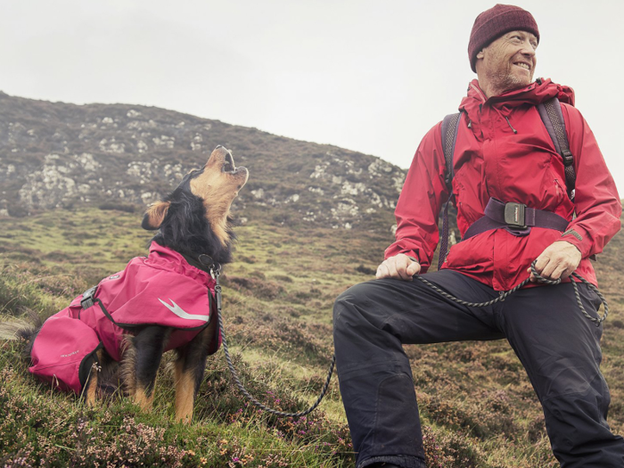 The best dog coat for heavy rain