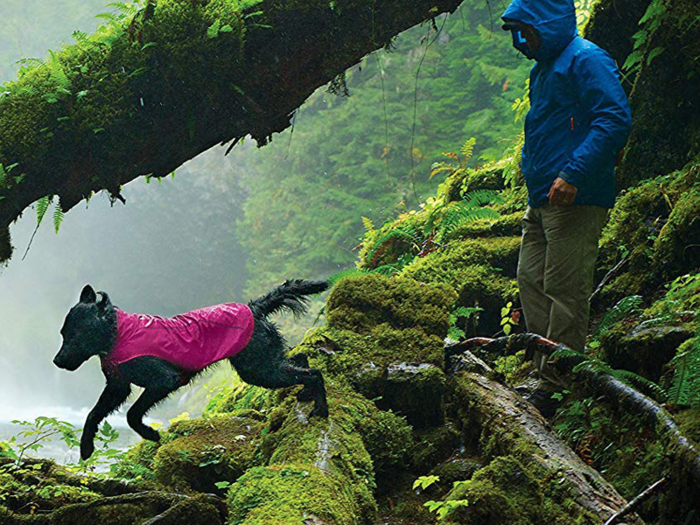 The best dog coat for light rain