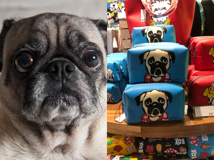 ... like this small bag collection, which features a pug that looks just like mine.