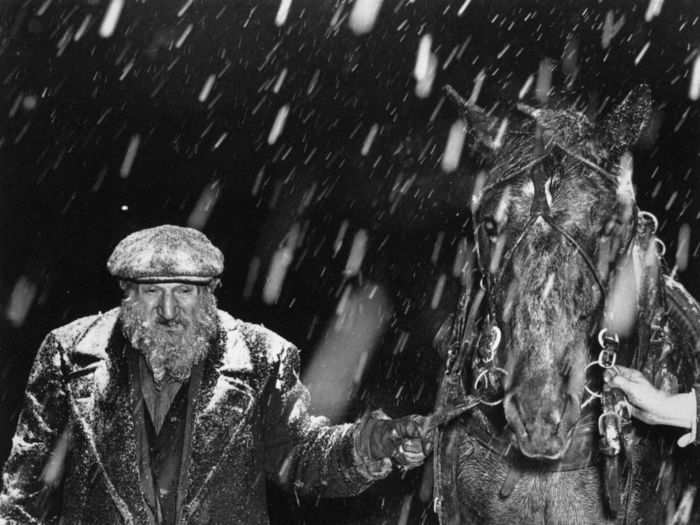 In 1944, a man named Sam Karshnowitz led a horse through a bitter snowstorm in New York.