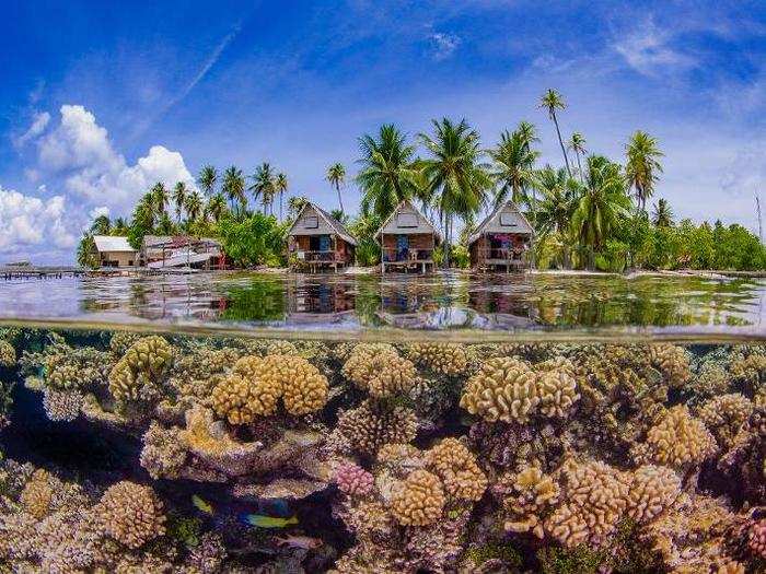 Off this island in French Polynesia, a completely different world swims just below the surface.