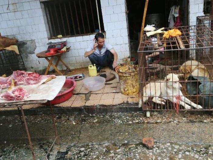 On Wednesday, Wuhan authorities banned the trade of live animals at wet markets.