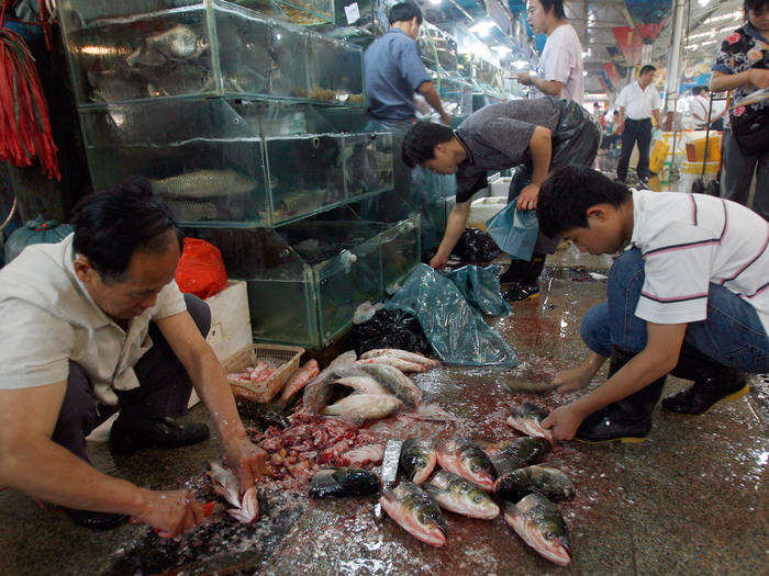 Reports indicate that before the Huanan market closed, vendors there sold processed meats and live consumable animals including chickens, donkeys, sheep, pigs, camels, foxes, badgers, bamboo rats, and hedgehogs, as well as reptiles like snakes.