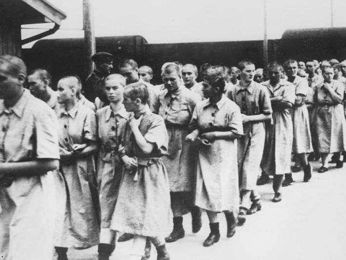 Forty-four subcamps with different specializations were established at Auschwitz between 1942 and 1944. The Nazis made prisoners work on large farms, in coal mines, in weapons production — basically anything the German military needed for war.