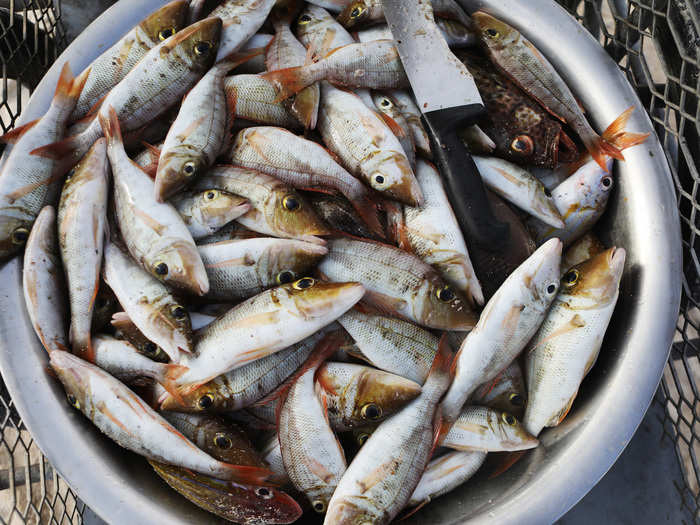 Eating poisoned fish can cause fevers and stomach problems. The poisoning became more common about a decade ago, as weather patterns began to change.