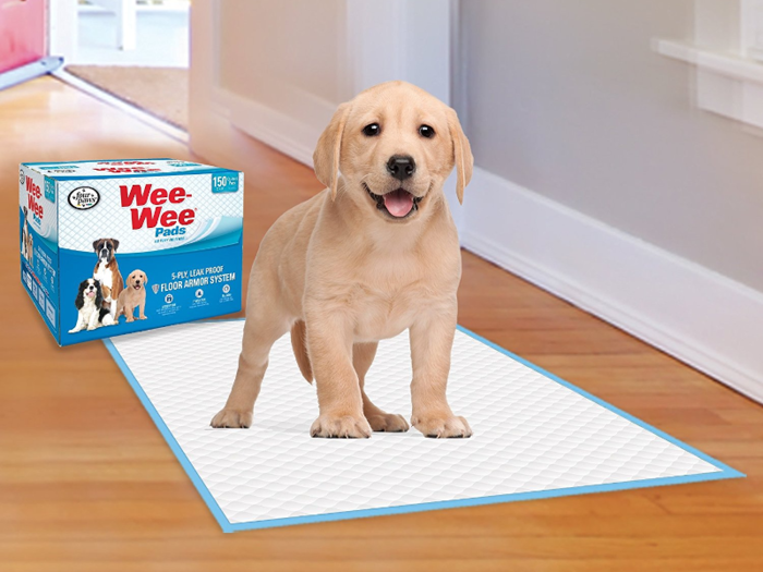 The best puppy pee pads