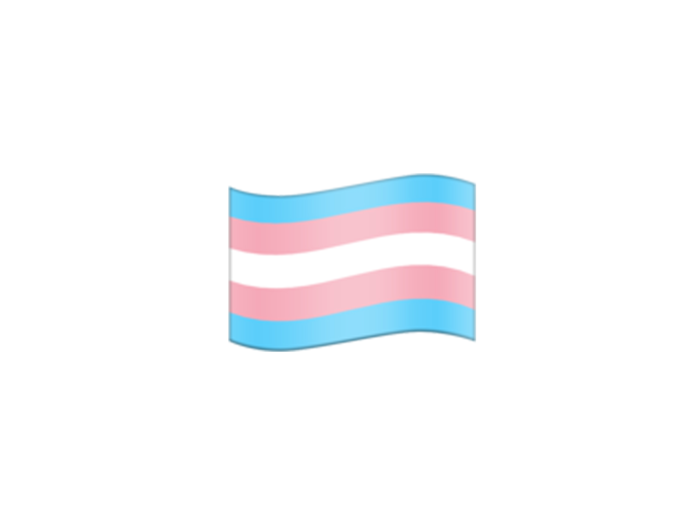 Trans flag