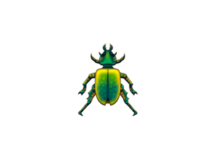 Beetle