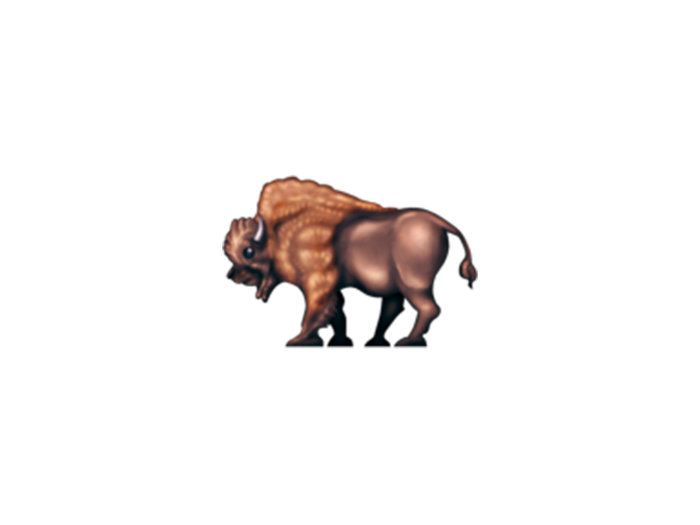 Bison