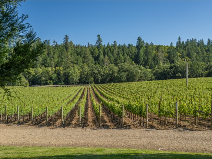 Not to mention sprawling vineyards as a backyard.