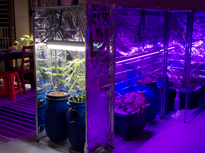 Large areas of what would typically be a living space are instead devoted to growing food.