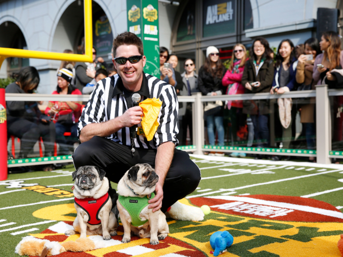 Age of Puppy Bowl MVP over/under 17.5 weeks