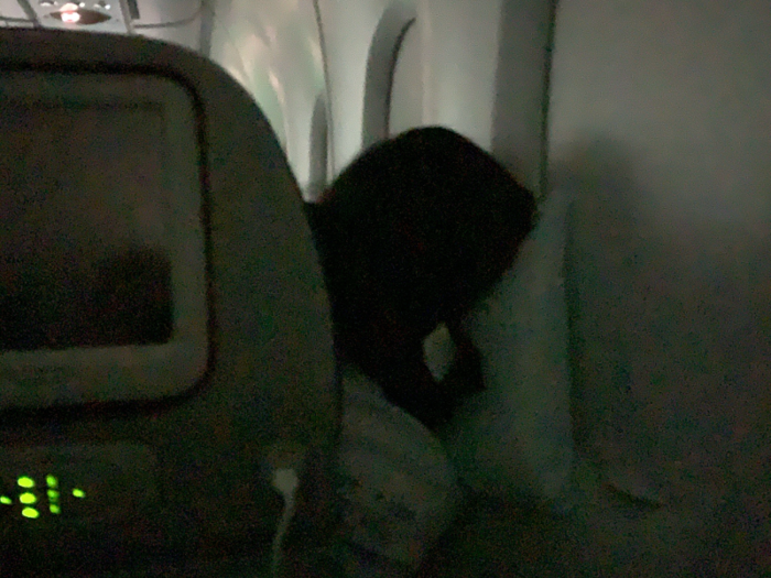 The gap between my seat and the side of the plane meant I had more room — but made it hard to get comfortable. Like the passenger in front of me, I ended up contorting my body in some strange ways, but eventually dozing on and off for three more hours.