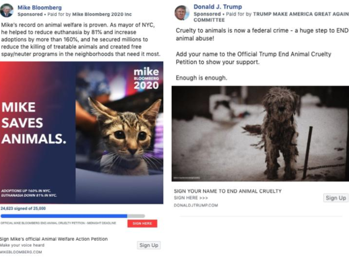 Both Trump and Bloomberg promote petitions on Facebook that call for an end to animal cruelty. When people sign the petitions, they hand over their name and contact information to the campaigns.