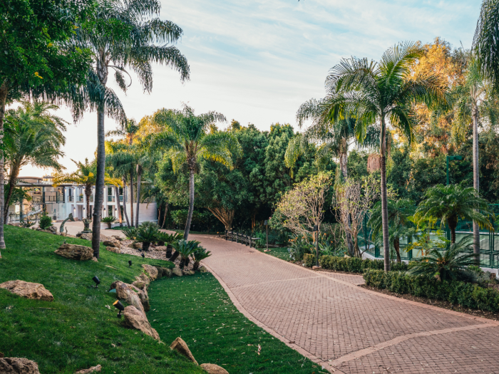 A palm tree-lined pathway leads down to the private beach.