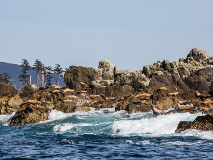 The Haida Gwaii Islands, British Columbia