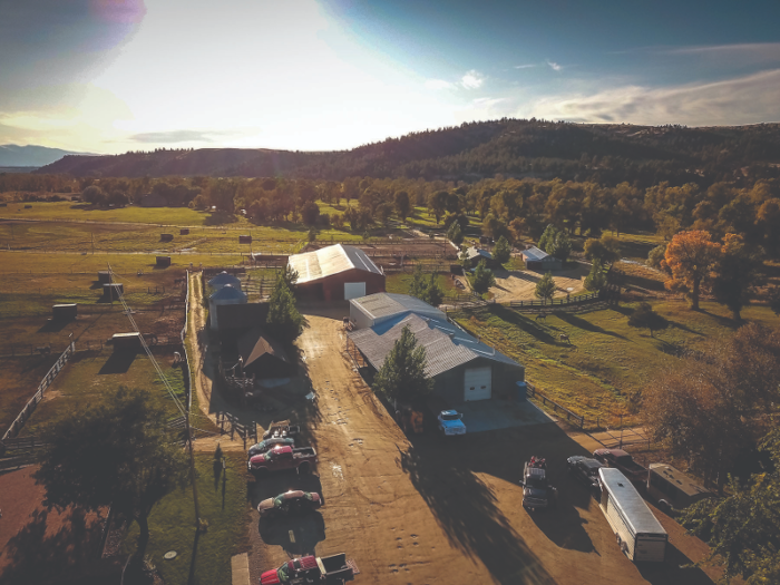 There are multiple barns and shops throughout the property.