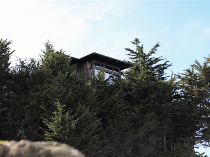 Pivot in the opposite direction and there, peeking out from the foliage, is the roof of a home belonging to Twitter CEO Jack Dorsey. It