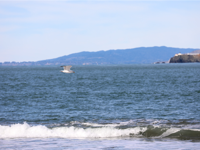 Legend or not, the plaque was erected by Chinese Americans in 1982 to honor the Chinese fisherman that contributed to the San Francisco Bay Area since the time of the Gold Rush.