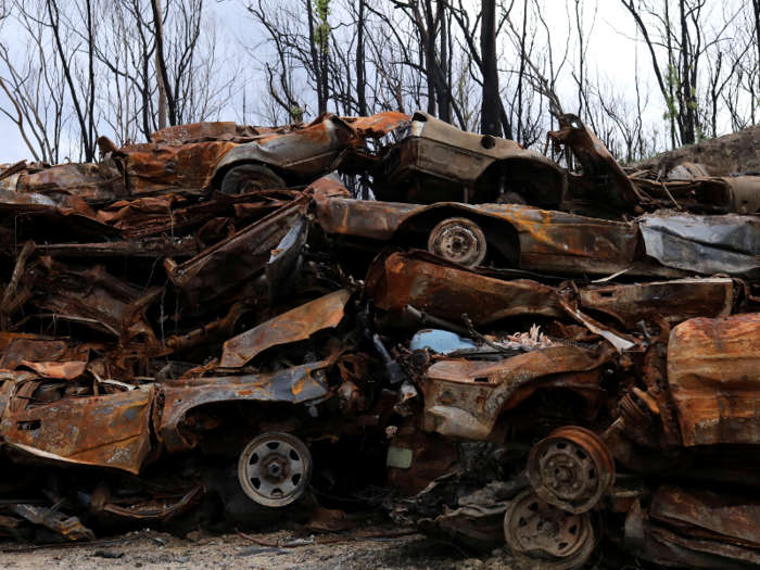 Climate change has increased the frequency and severity of fires. This was one of Australia