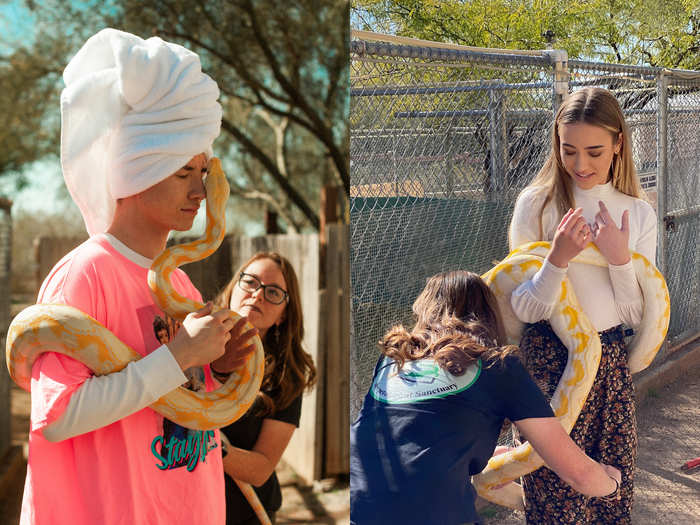 One of the days was spent taking a trip to the nearby Phoenix Herpetological Sanctuary, a nonprofit conservatory for reptiles. The creators were given the chance to take pictures with the sanctuary