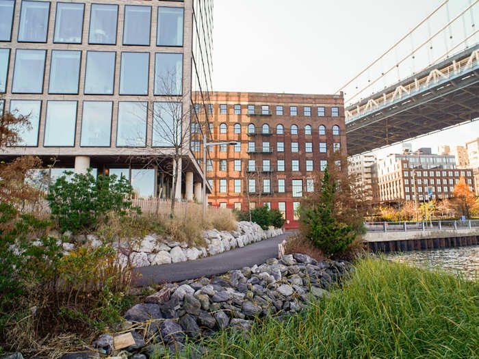 ... and they line Brooklyn Bridge Park, a favorite among locals and tourists alike.