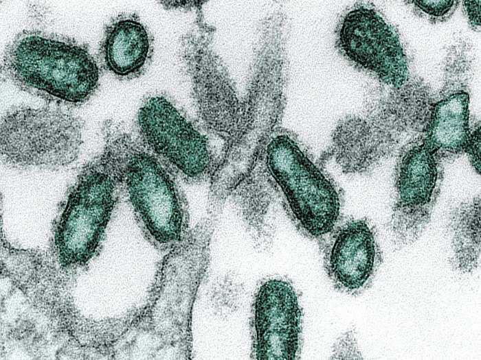 The influenza pandemic remained a mystery for nearly 80 years. But researchers in the 2000s successfully isolated, decoded, and replicated the entire sequence of the virus, now known as H1N1.