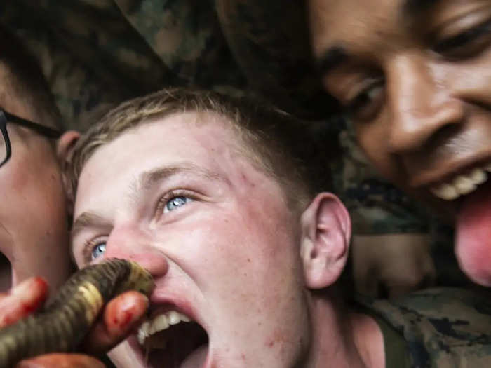 In the jungle, water may not always be readily available, and in those situations, Marines can drink animal blood to stay hydrated. Cobra blood is said to have a sweet taste.