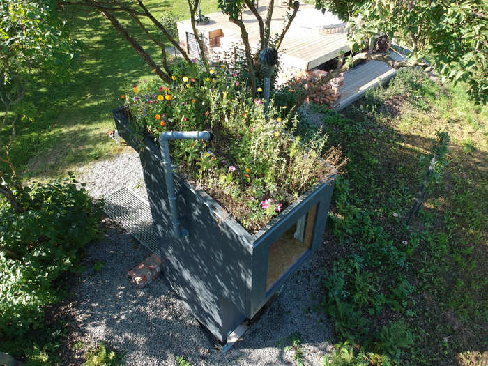 The garden is fertilized with the contents of the toilet.