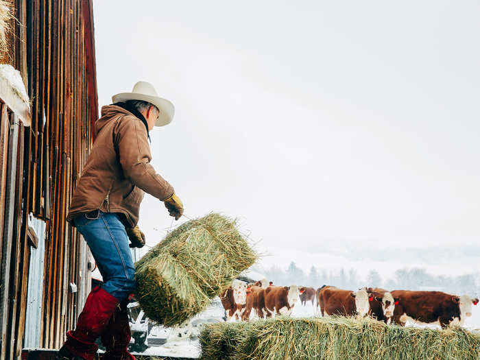 2. Agricultural managers (farmers)