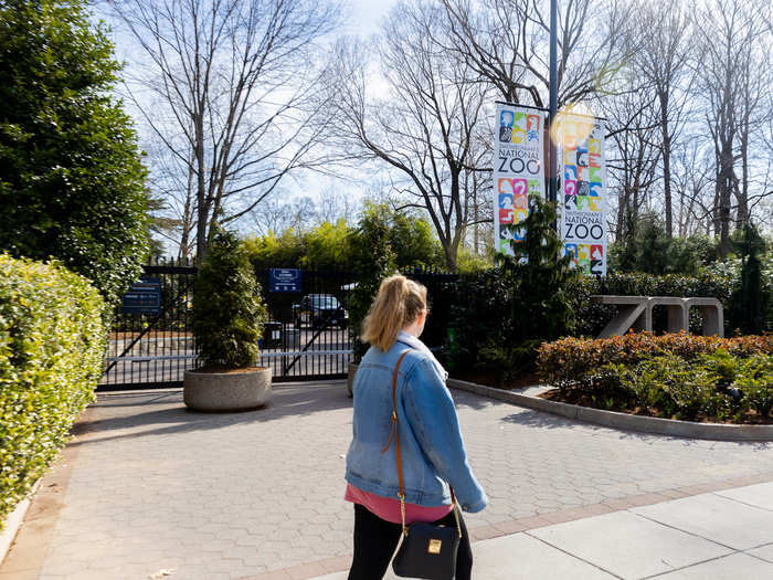 AFTER: The Smithsonian Institution closed the National Zoo as well as its 19 museums on March 14 to prevent the spread of the coronavirus. The Smithsonian has not yet announced a re-opening date.