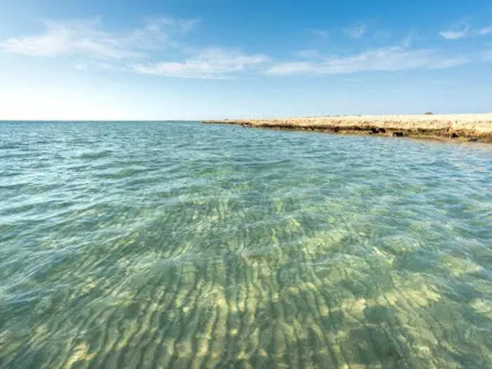 There are miles of white coastlines with crystal-clear water and living corals around Jeddah. But no one swims.