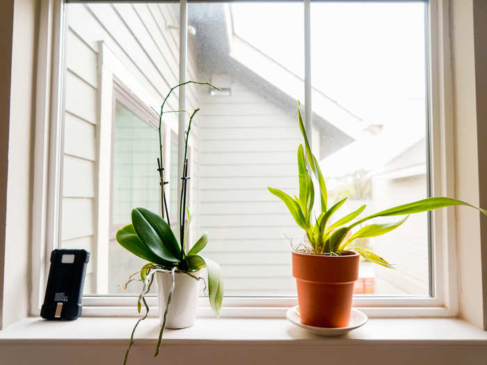 And there are more windows, which means more natural light flooding into my office all day.