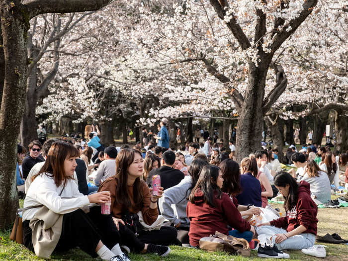 Crowds enjoyed cherry blossoms in Tokyo, Japan, on March 22 despite the government