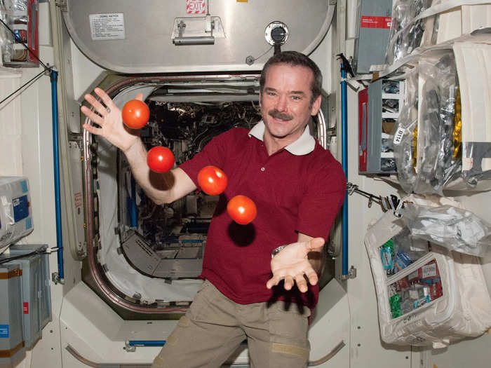 Hadfield also suggested three other rules: choose goals, examine constraints, and — most importantly — take action.