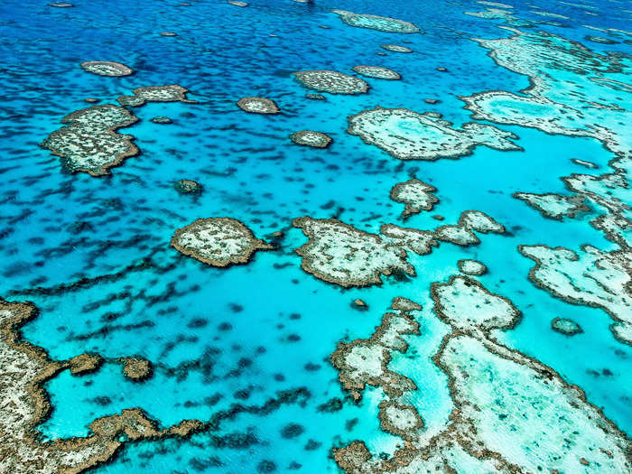 Scientists reported that large parts of Australia