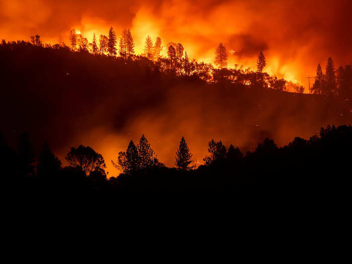 PG&E agreed to plead guilty on 84 counts of involuntary manslaughter after starting a 2018 wildfire in California.