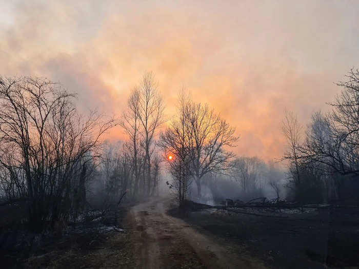 Two forest fires caused Chernobyl radiation levels to spike.