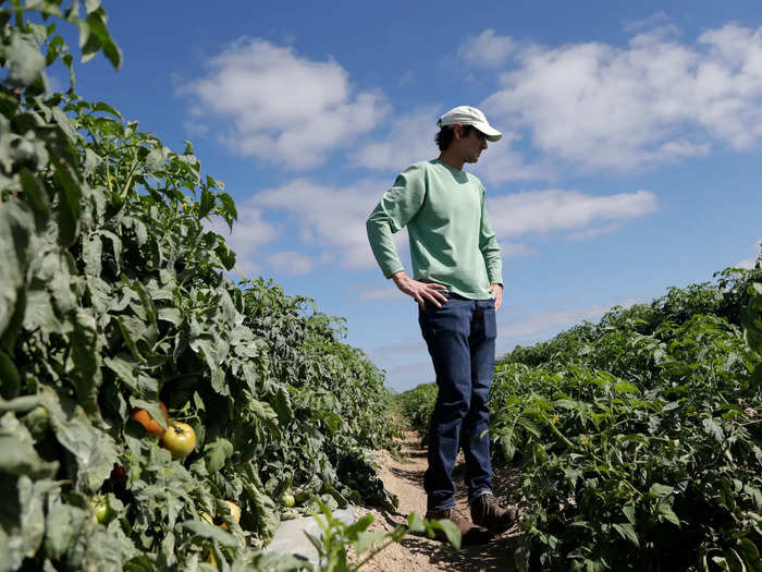 Millions of pounds of fresh food are being destroyed by US farmers as a result of business loss during closures and lockdowns.