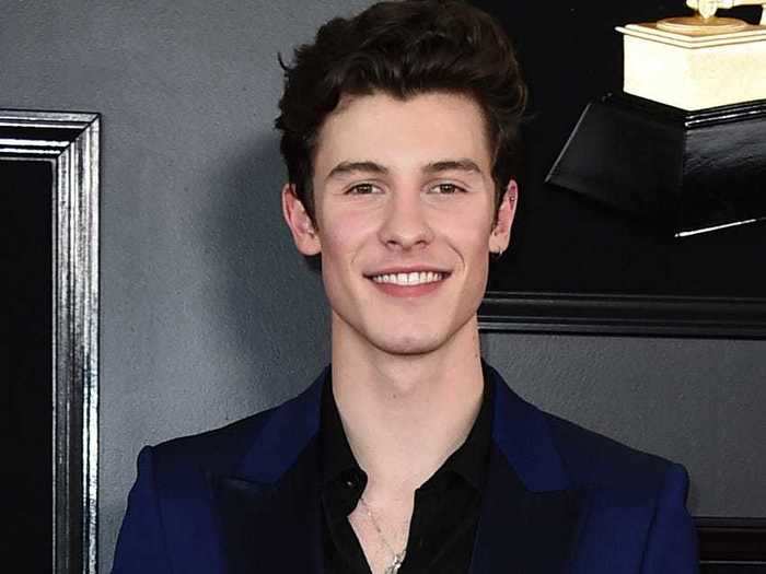 Shawn Mendes donated $175,000 to the SickKids Foundation.